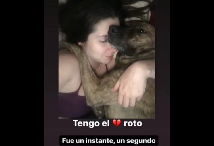 La perrita de la actriz Ariadne Díaz fue devorada por un cocodrilo