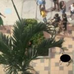 Muere perro lanzado de un piso 6 en Cartagena porque perdió Colombia