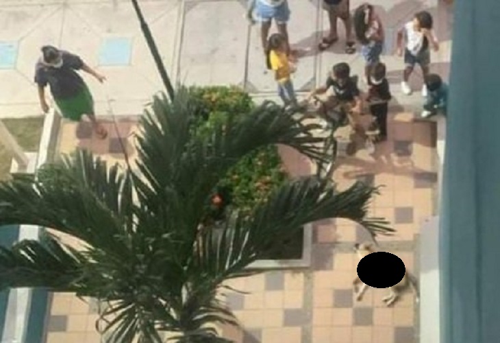 Muere perro lanzado de un piso 6 en Cartagena porque perdió Colombia