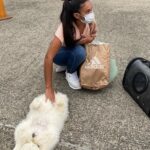 Familia denuncia que su perro Kenzo murió en vuelo por culpa de azafata