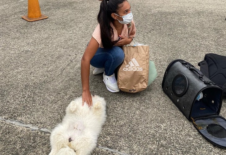 Familia denuncia que su perro Kenzo murió en vuelo por culpa de azafata
