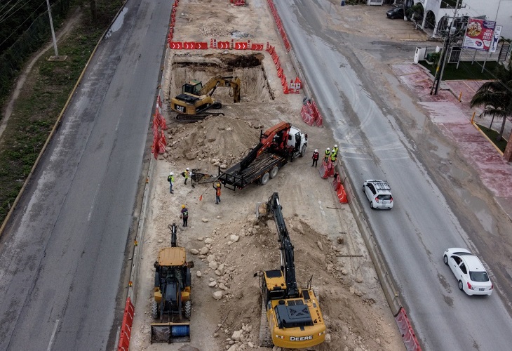 20 mil árboles fueron talados en Playa del Carmen para tren que ya no pasará