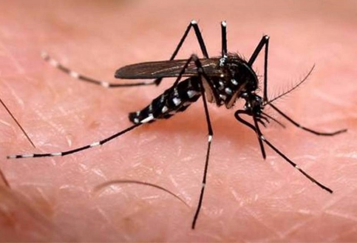 El dengue se dispara en Santander: tres fallecidos y más del 80% de los casos en el área metropolitana---En Rosario fue detectado el primer caso de coronadengue en Suramérica- Epidemia de Dengue en Medellín: Autoridades Confirman 298 Casos en 2024