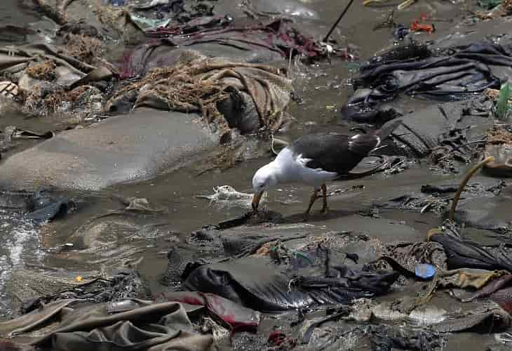 El desastre ecológico se esconde en el fondo del mar peruano tras el derrame