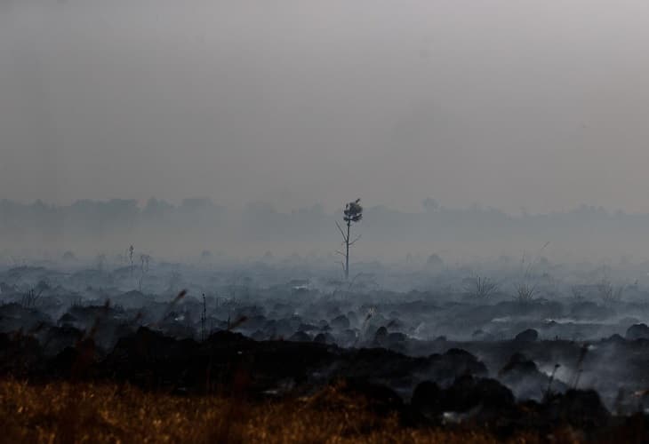 El presidente argentino visita el noreste tras los incendios forestales