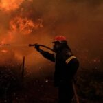 Isla de Eubea se reforesta tras los incendios que arrasaron Grecia en 2021