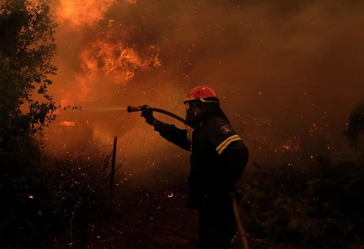 Isla de Eubea se reforesta tras los incendios que arrasaron Grecia en 2021