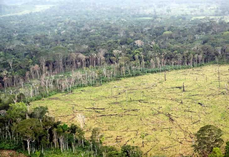 La deforestación en Colombia se ha incrementado tras el proceso de paz