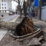 La tormenta Eunice deja dos muertos y paraliza el Reino Unido