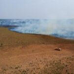 Los incendios en el noreste argentino desbordan recursos y preocupan las áreas afectadas