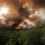 Los incendios forestales ya consumieron 519.000 hectáreas en el noreste de Argentina