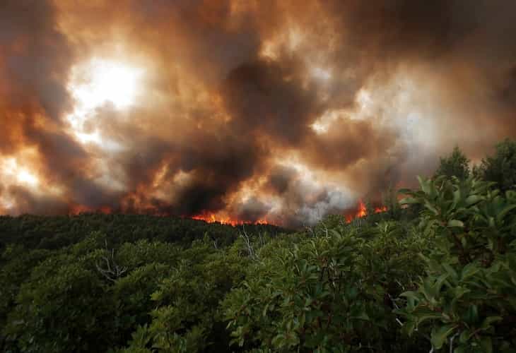 Los incendios forestales ya consumieron 519.000 hectáreas en el noreste de Argentina