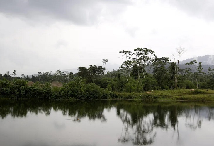 Noruega destinará 3,7 millones de dólares para reforestación en Amazonía