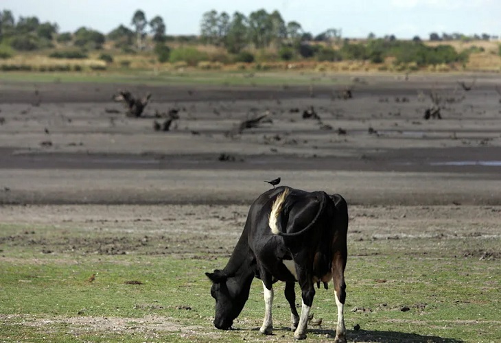 Uruguay extiende 90 días la emergencia agropecuaria por la sequía