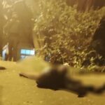 En el barrio Santa Lucía de Medellín mataron a un hombre