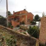 Elche: joven mata a su familia por cortar la wifi en Algoda