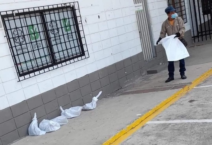 En Barranquilla explican trasladado de gatos vivos en bolsas plásticas