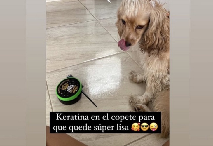 Indignación por mujer que le aplicó keratina Epa Colombia a su mascota