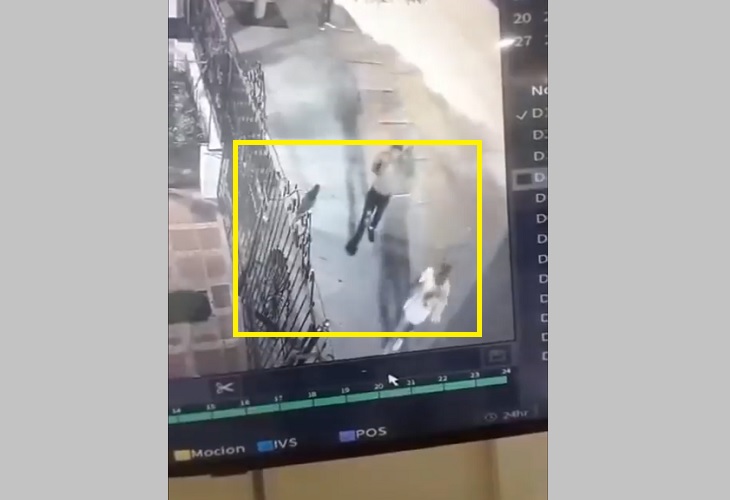 Video. En Riohacha, un grupo de jóvenes tortura y mata a un loro
