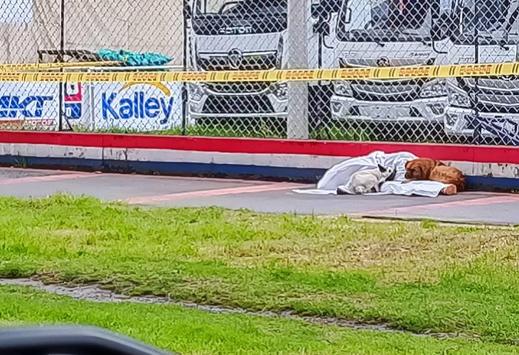 En Pasto, habitante de calle murió cerca al Alkosto Bolívar