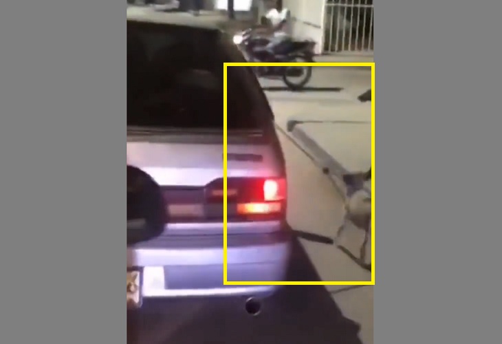 En Malambo, un hombre llevaba arrastrado a un perrito de un carro