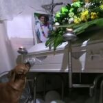 Eduardo Porras murió en alud de La Esneda y Broli, su perrito, no se separó del ataúd