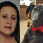 Profesora que mató a un perrito en Jericó pidió disculpas