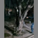 Muere delincuente en un intento de hurto a Carlos Tevez, en Fuerte Apache