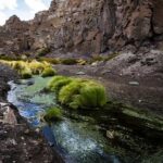 Claves de la última disputa Chile-Bolivia en La Haya - las aguas del Silala