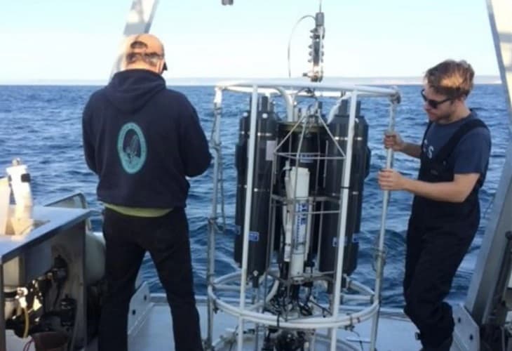 Descubren un depredador microscópico marino que captura carbono