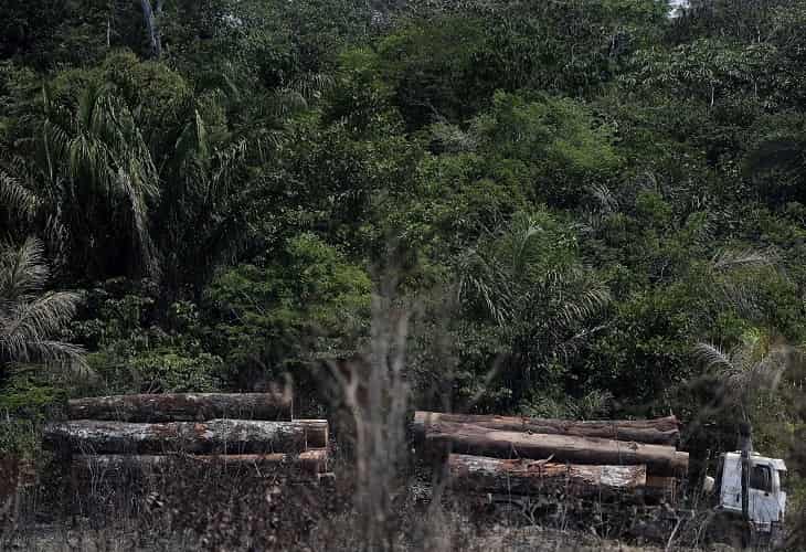El Gobierno de Brasil anuncia acciones fuertes contra la devastación de la Amazonía