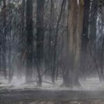 El humo de los incendios forestales acelera el calentamiento en el Ártico