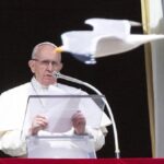 El papa sobre la guerra en Ucrania - ¡En nombre de Dios, deténganse!