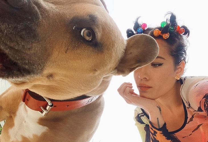 Halsey junto a Jagger, su perro que murió