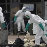 Hong Kong veta las importaciones avícolas de zonas de EEUU con brotes de gripe aviar
