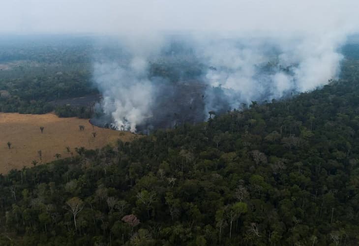 ONG en Brasil piden a la UE ajustar el proyecto que busca frenar la deforestación