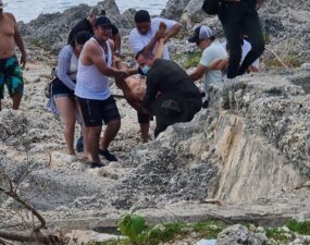 Impactantes imágenes que muestran al tiburón que mató a turista en San Andrés