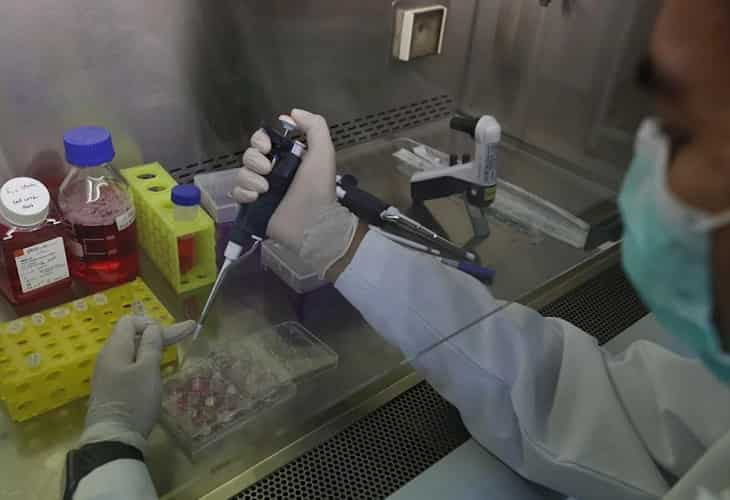 Un análisis de heces podría ayudar a detección temprana de cáncer de páncreas