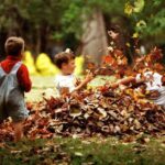Un estudio vincula los espacios verdes con un menor estrés oxidativo en niños