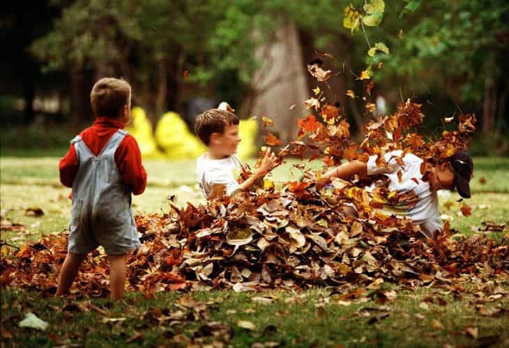 Un estudio vincula los espacios verdes con un menor estrés oxidativo en niños