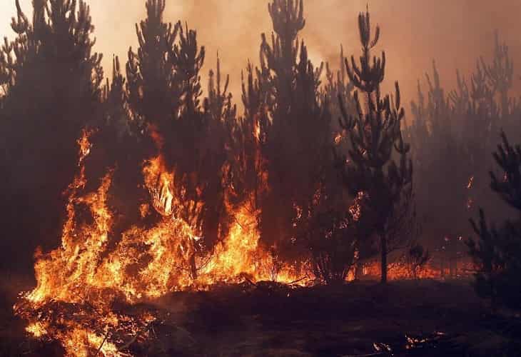 Un incendio forestal en la región chilena de Valparaíso deja 40 viviendas dañadas