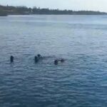 En San Andrés intentan cazar al tiburón que mató al turista italiano