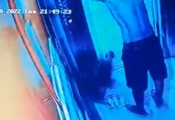 Con video delatan a maltratador de un perrito en un edificio de Robledo Pilarica