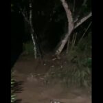 Dayro Herrera murió alcanzado por un rayo en San Rafael, Antioquia