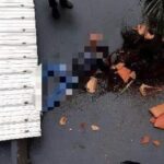 Cae hombre del edificio la Ceiba, en Medellín, y muere