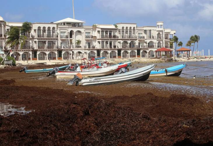 Autoridades prevén una “alarmante” llegada de sargazo a las costas mexicanas