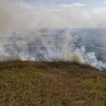 Brasil lideró la pérdida de bosques tropicales primarios en el mundo en 2021