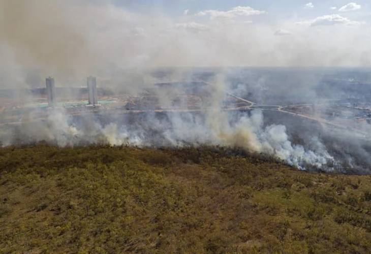 Brasil lideró la pérdida de bosques tropicales primarios en el mundo en 2021