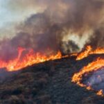 Ciudad de México suma 511 incendios forestales del 1 de enero al 1 de abril