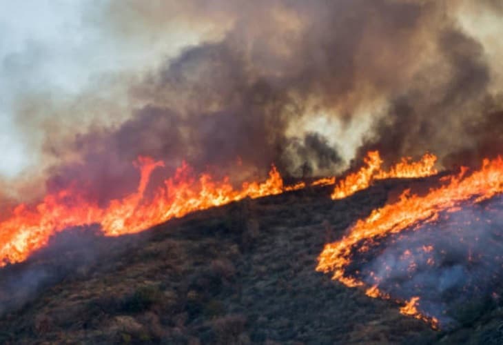 Ciudad de México suma 511 incendios forestales del 1 de enero al 1 de abril